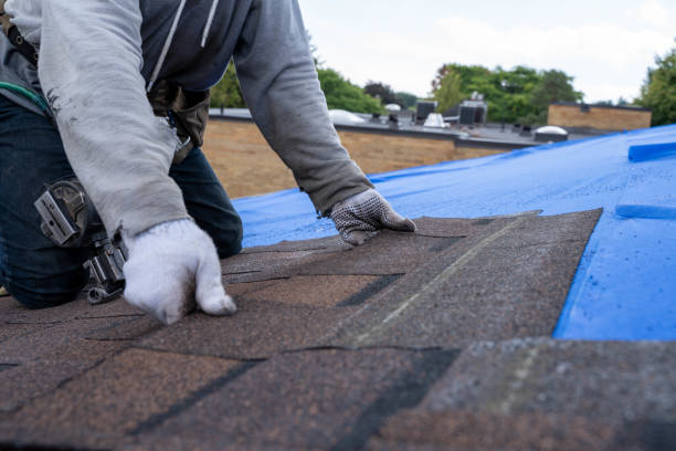 Best Rubber Roofing (EPDM, TPO)  in Royal Oak, MI