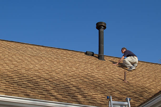 Best Roof Coating and Sealing  in Royal Oak, MI